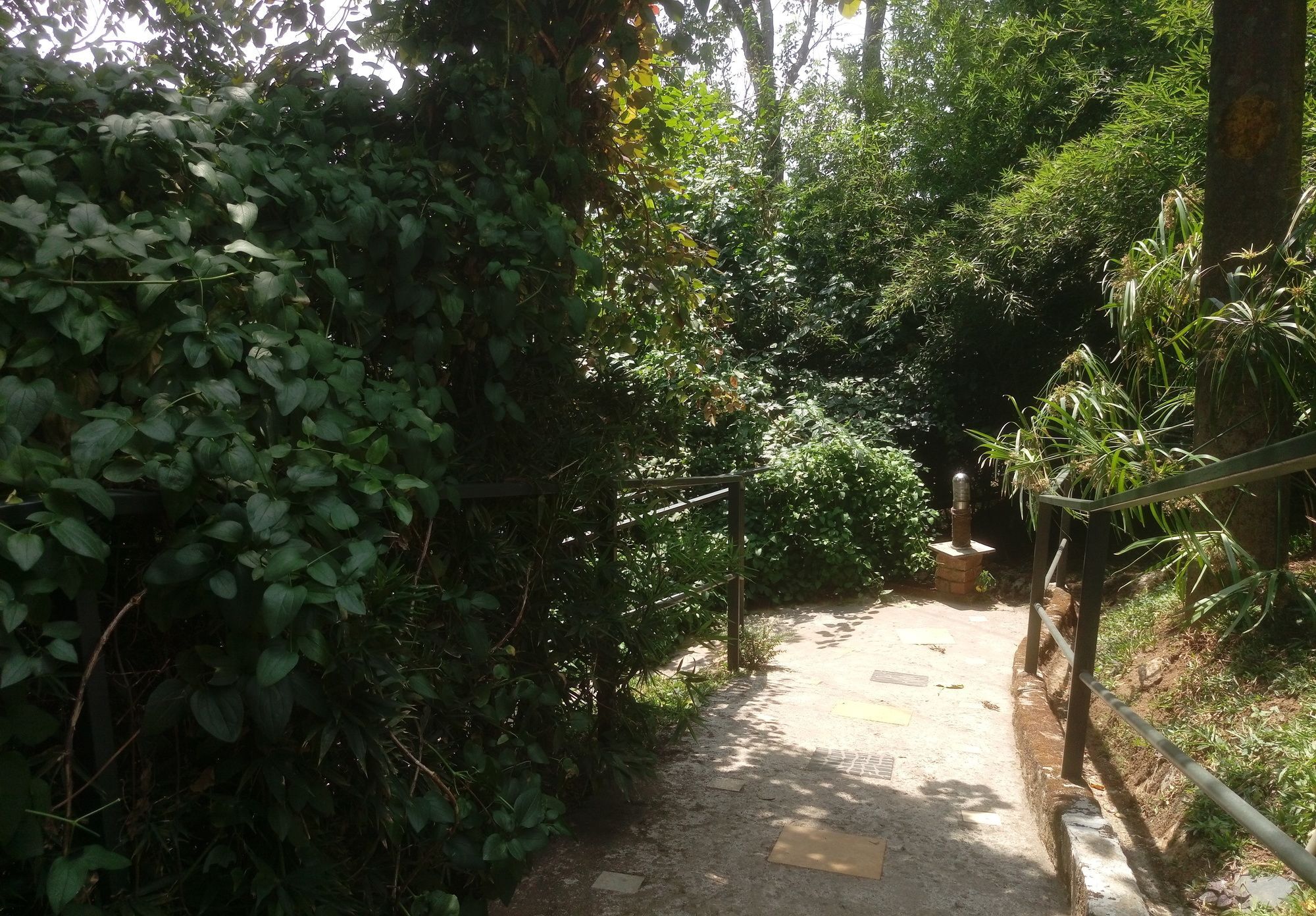 Отель Spicetree Munnar Chinnakanal Экстерьер фото